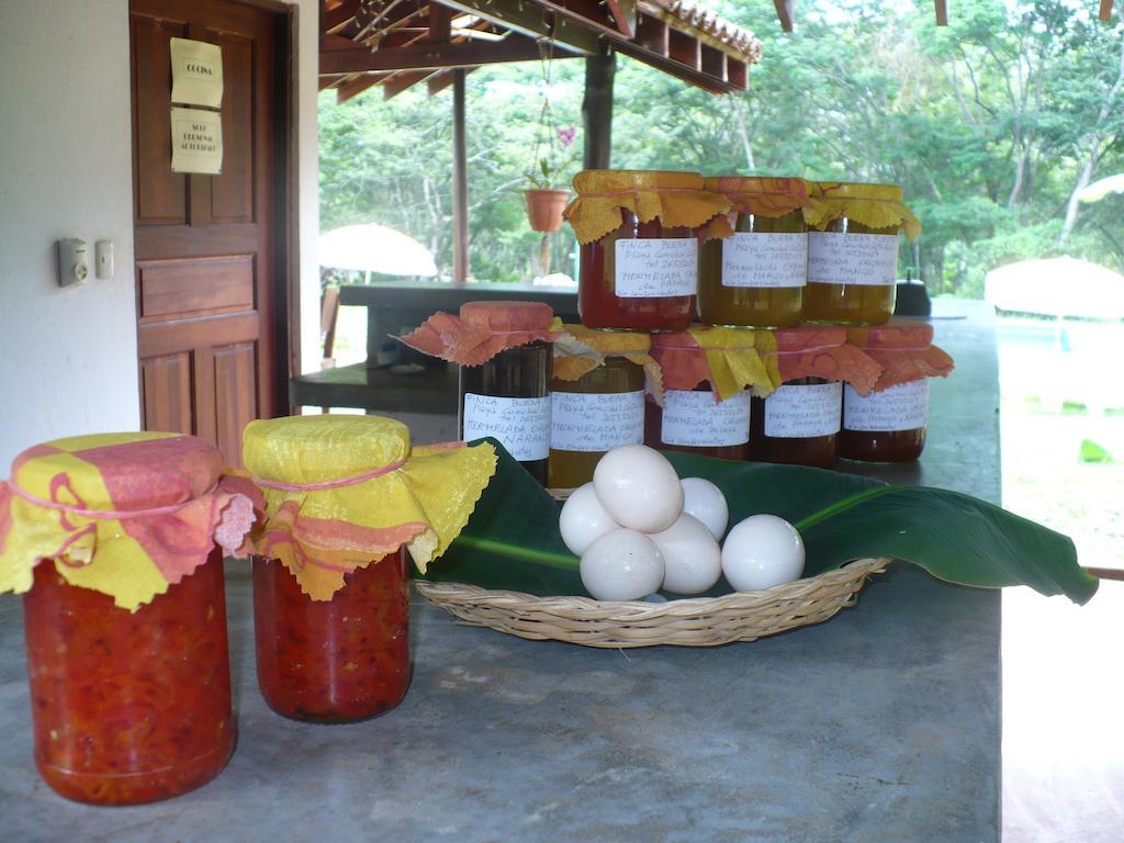 Finca Buena Fuente Residence Hotel Nicoya Ngoại thất bức ảnh